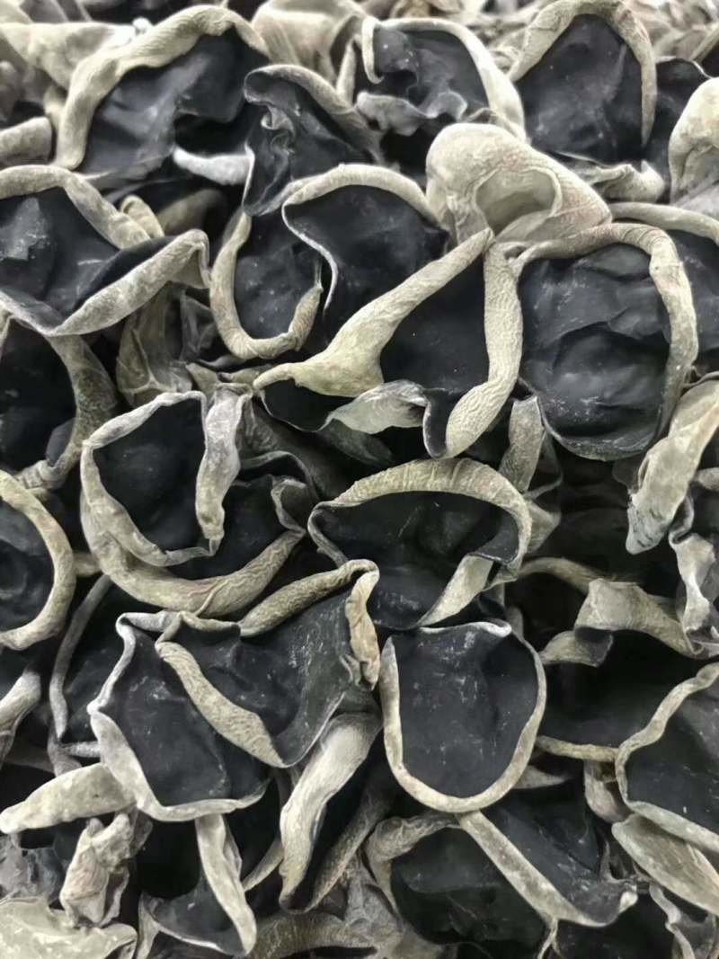 东北黑木耳精工手选一手货源常年有货