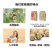 核桃薄皮新货5斤装一级新疆大黑桃185纸皮薄壳新鲜生原味