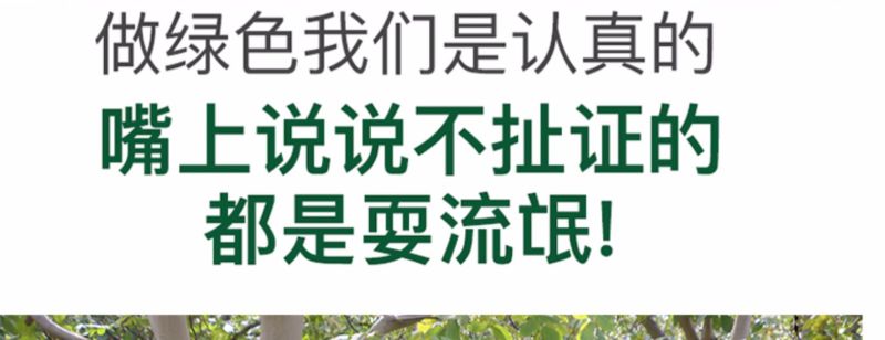 核桃薄皮新货5斤装一级新疆大黑桃185纸皮薄壳新鲜生原味