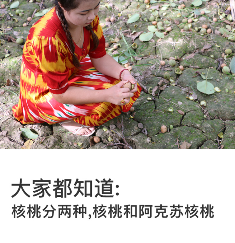 核桃薄皮新货5斤装一级新疆大黑桃185纸皮薄壳新鲜生原味