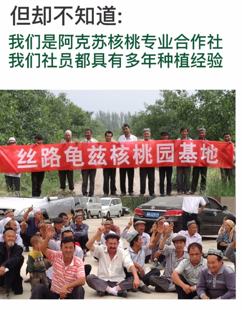核桃薄皮新货5斤装一级新疆大黑桃185纸皮薄壳新鲜生原味