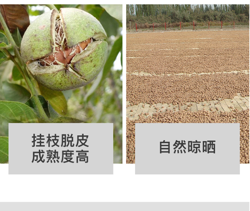核桃薄皮新货5斤装一级新疆大黑桃185纸皮薄壳新鲜生原味