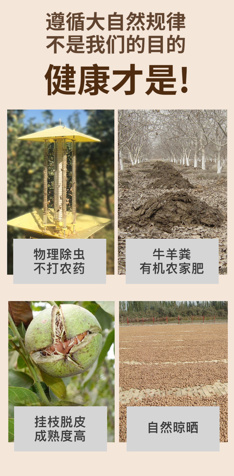 新疆大核桃仁散装生核桃仁250g*4新货小包装原味新鲜生