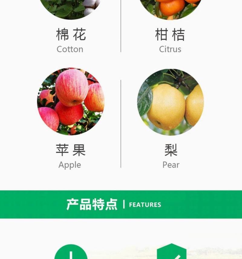 德国拜耳螨危24%螺螨酯红蜘蛛杀虫剂杀螨剂