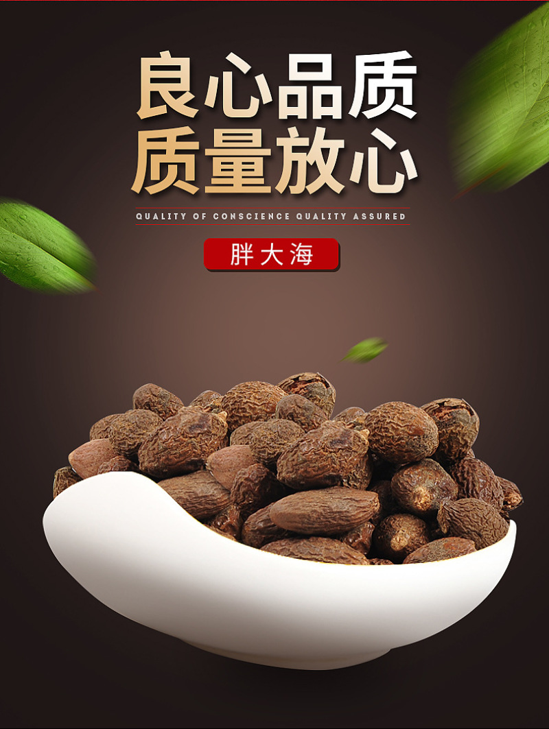 胖大海广西新货长果胖大海散装批发胖大海茶现货批发
