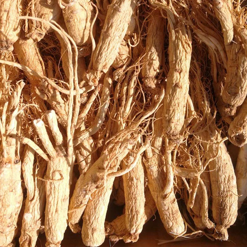 吉林人参500g全须干人参无硫长白山生晒参散装东北原皮参