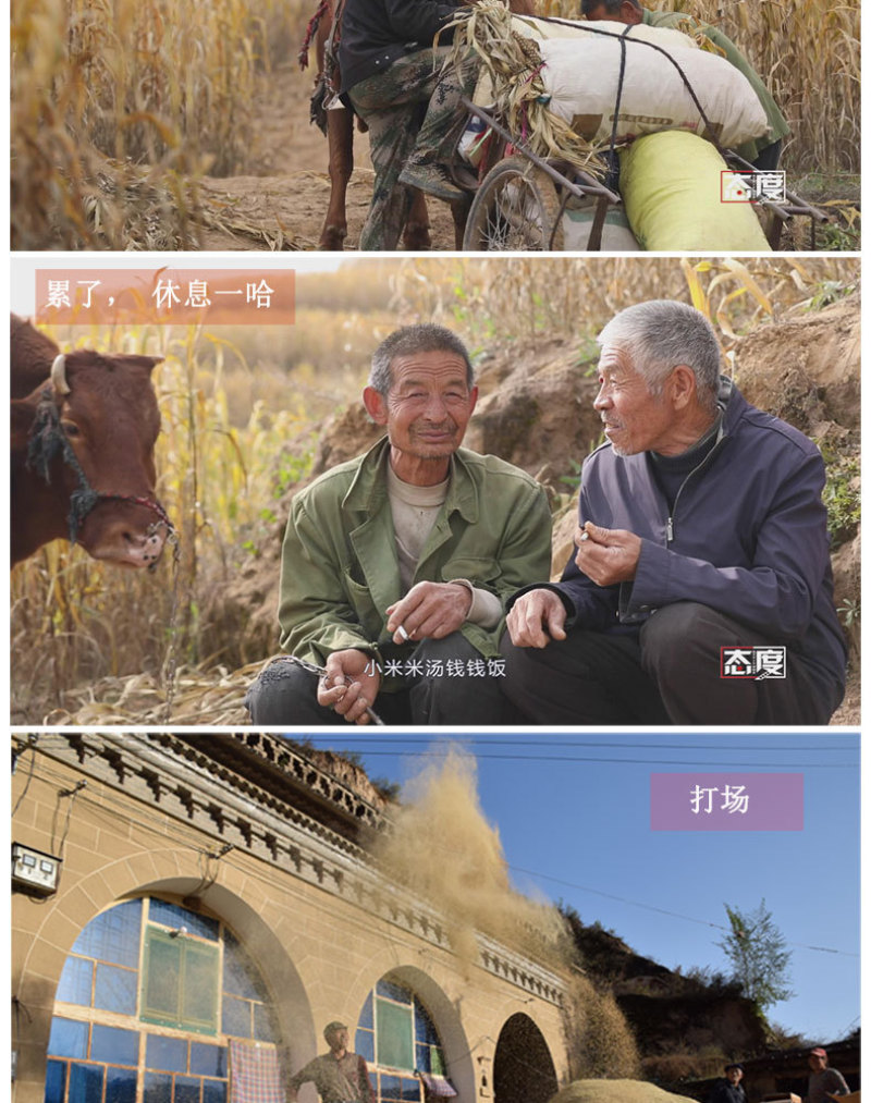 五谷杂粮小黄米黄土妈妈米脂黄小米布袋装宝宝米月子