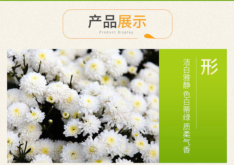 菊花贡菊花批发供应茶七月菊黄山白贡菊菊花茶量大从优