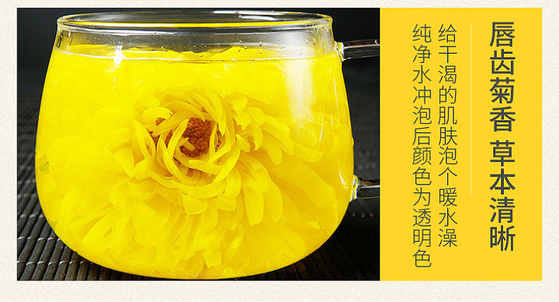 皇菊金丝皇新货源头厂家一件代发