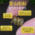 铁皮石斛铁皮枫斗现货厂家霍山石斛石斛批发
