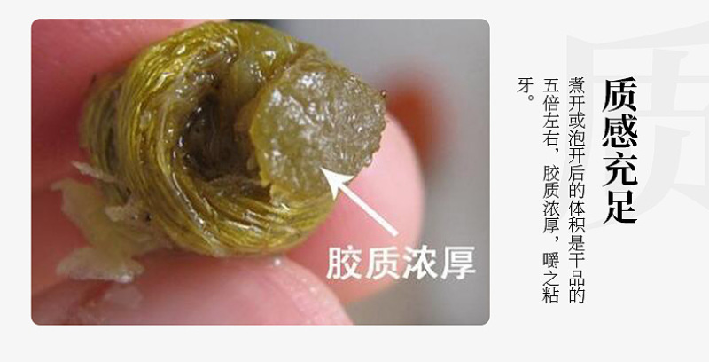 铁皮石斛铁皮枫斗现货厂家霍山石斛石斛批发