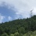 文山广南县158.5亩有林地转让