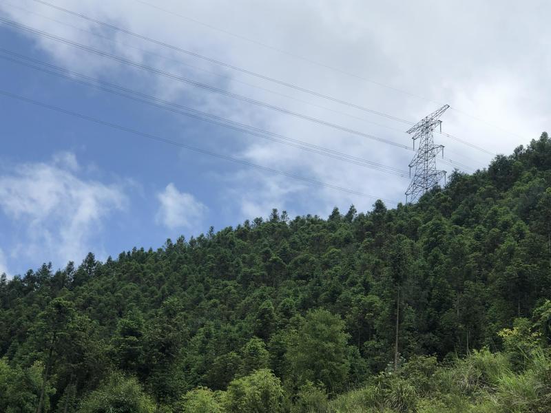 文山广南县158.5亩有林地转让