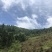 文山广南县158.5亩有林地转让