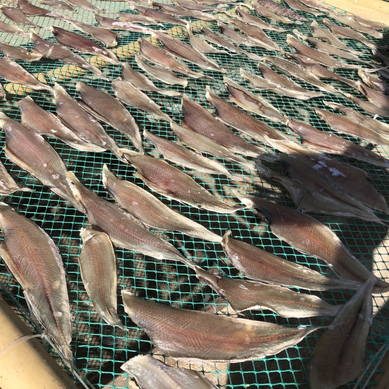 北海鱼干龙利鱼干北海特产淡盐鱼干子板鱼鳎目鱼海鲜干货批发