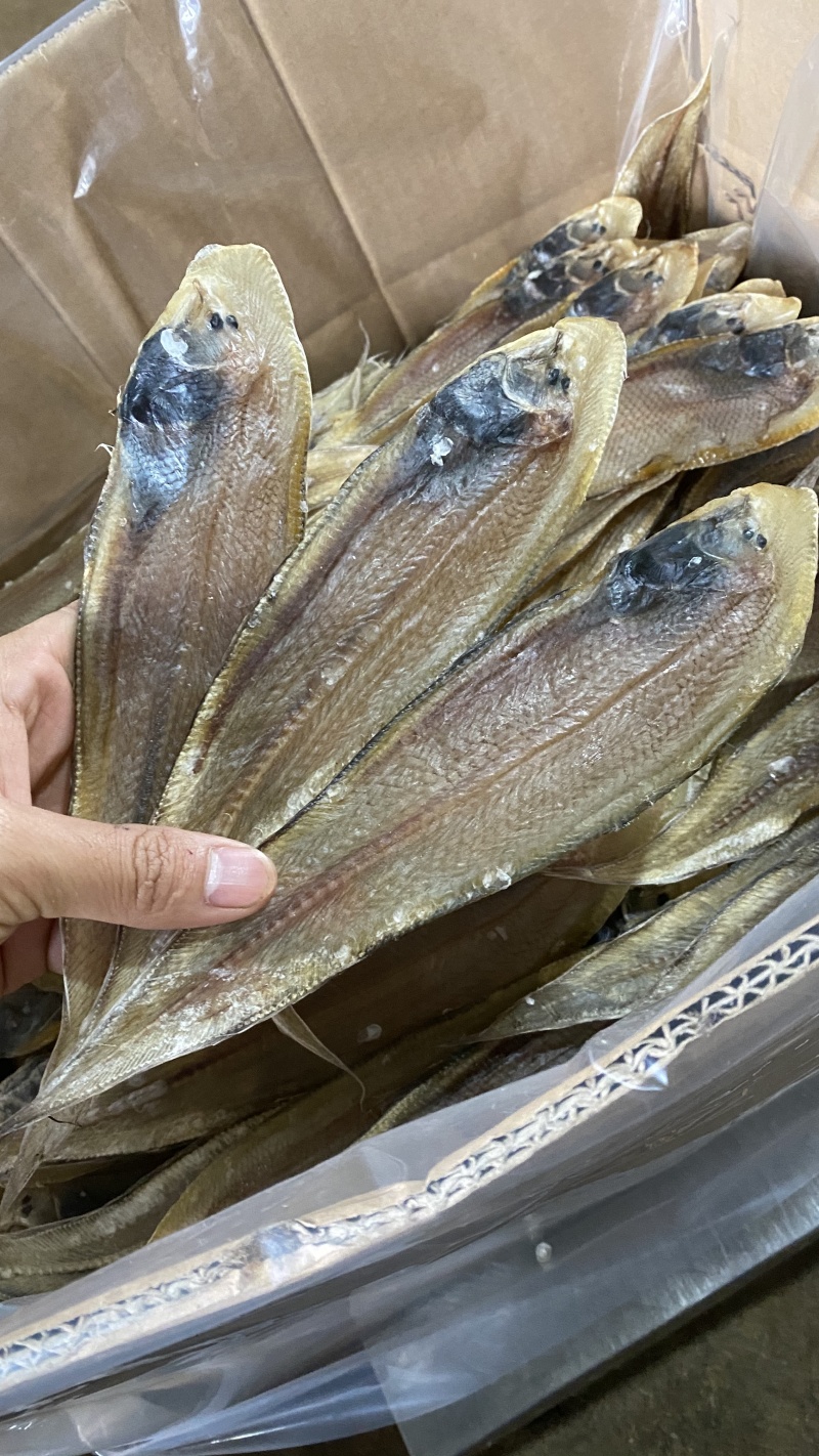 北海鱼干龙利鱼干北海特产淡盐鱼干子板鱼鳎目鱼海鲜干货批发