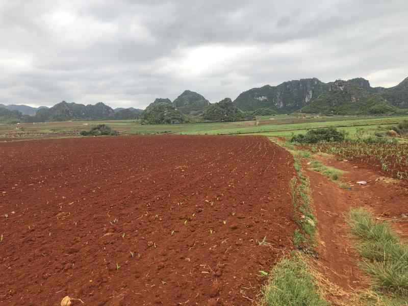 文山砚山县60亩旱地出租