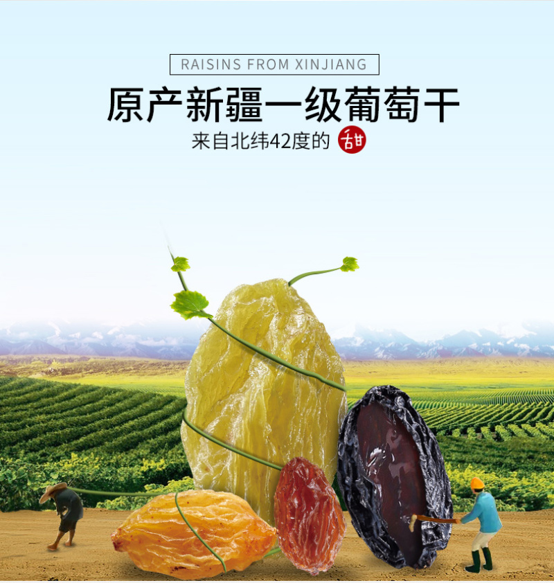 甘源每日葡萄干75gX10袋新疆特产无核免洗四色葡萄干小