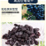 甘源每日葡萄干75gX10袋新疆特产无核免洗四色葡萄干小