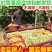 5斤新疆特产吐鲁番超大免洗无添加提子绿宝石无核葡萄干