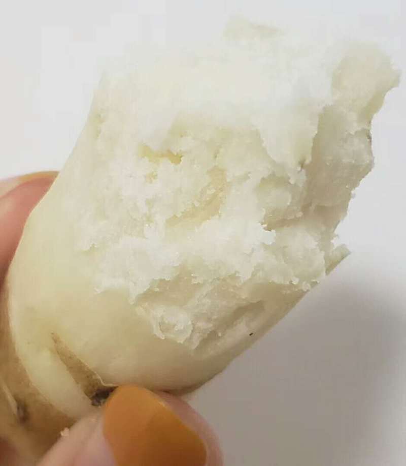 四大怀药之乡温县怀铁棍山药批发零售