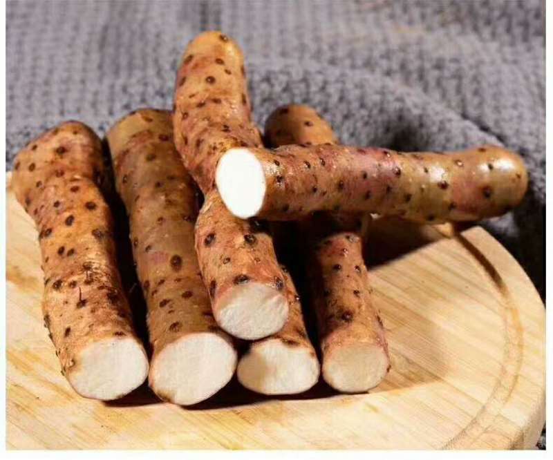 四大怀药之乡温县怀铁棍山药批发零售