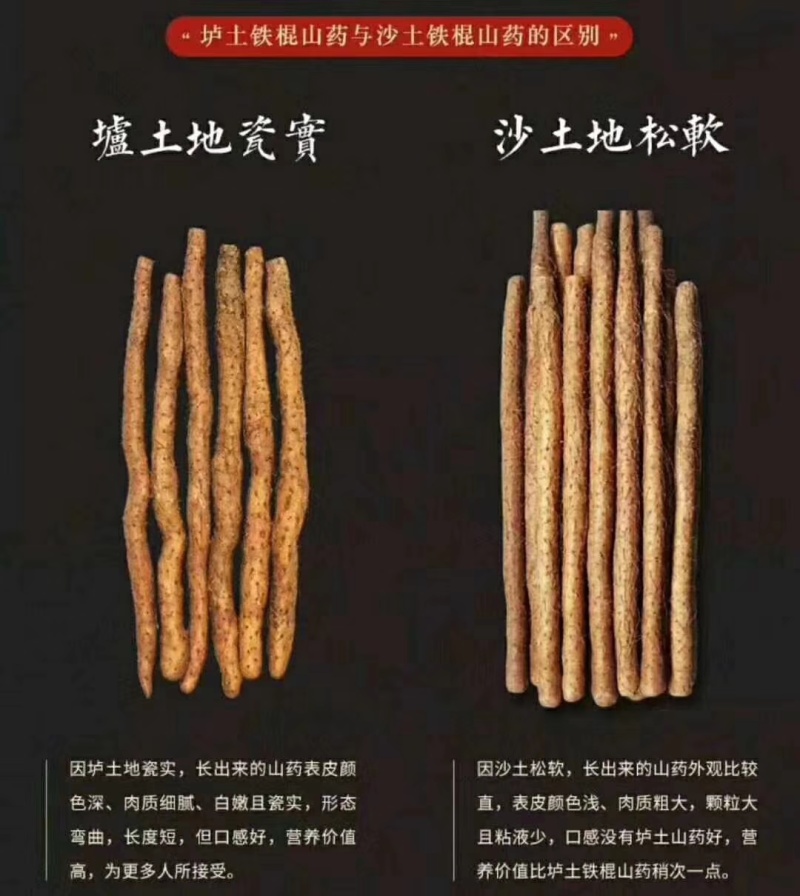 四大怀药之乡温县怀铁棍山药批发零售