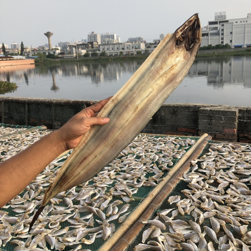 海鲜干货批发鳗鱼干鳝鱼片各规格鱼干水产干货批发晒场直发