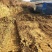 文山广南县800平米宅基地转让