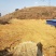 文山广南县800平米宅基地转让