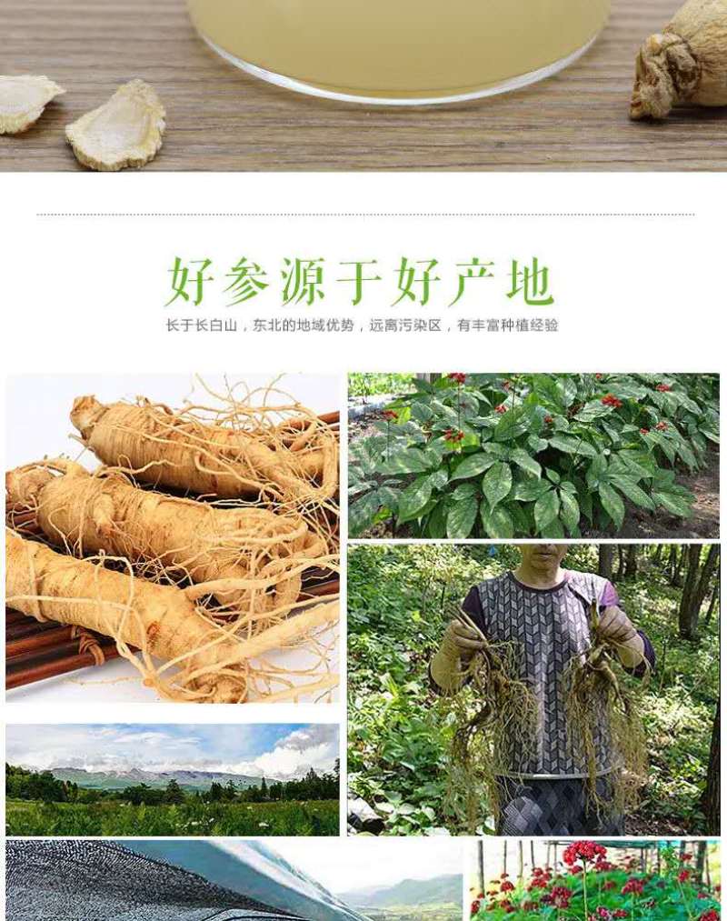 西洋参粉长白山本地特产花旗参超细粉250/500克