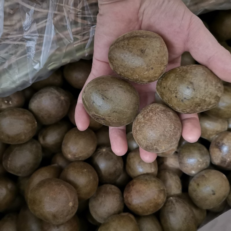罗汉果盒装罗汉果6个盒装罗汉果