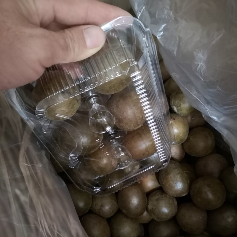罗汉果盒装罗汉果6个盒装罗汉果