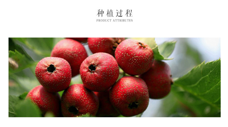 山楂片散装花果茶山楂无核无籽山楂干中心圈多种规格