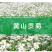 花茶菊花茶七月菊太阳菊黄山贡菊散装批发大量供应厂家直销