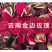 金边玫瑰云南花茶花干重瓣玫瑰花金边玫瑰云南产地批发厂家直