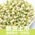 茉莉花干散装花草茶新鲜头花茉莉花茶叶批发广西横县茶厂家