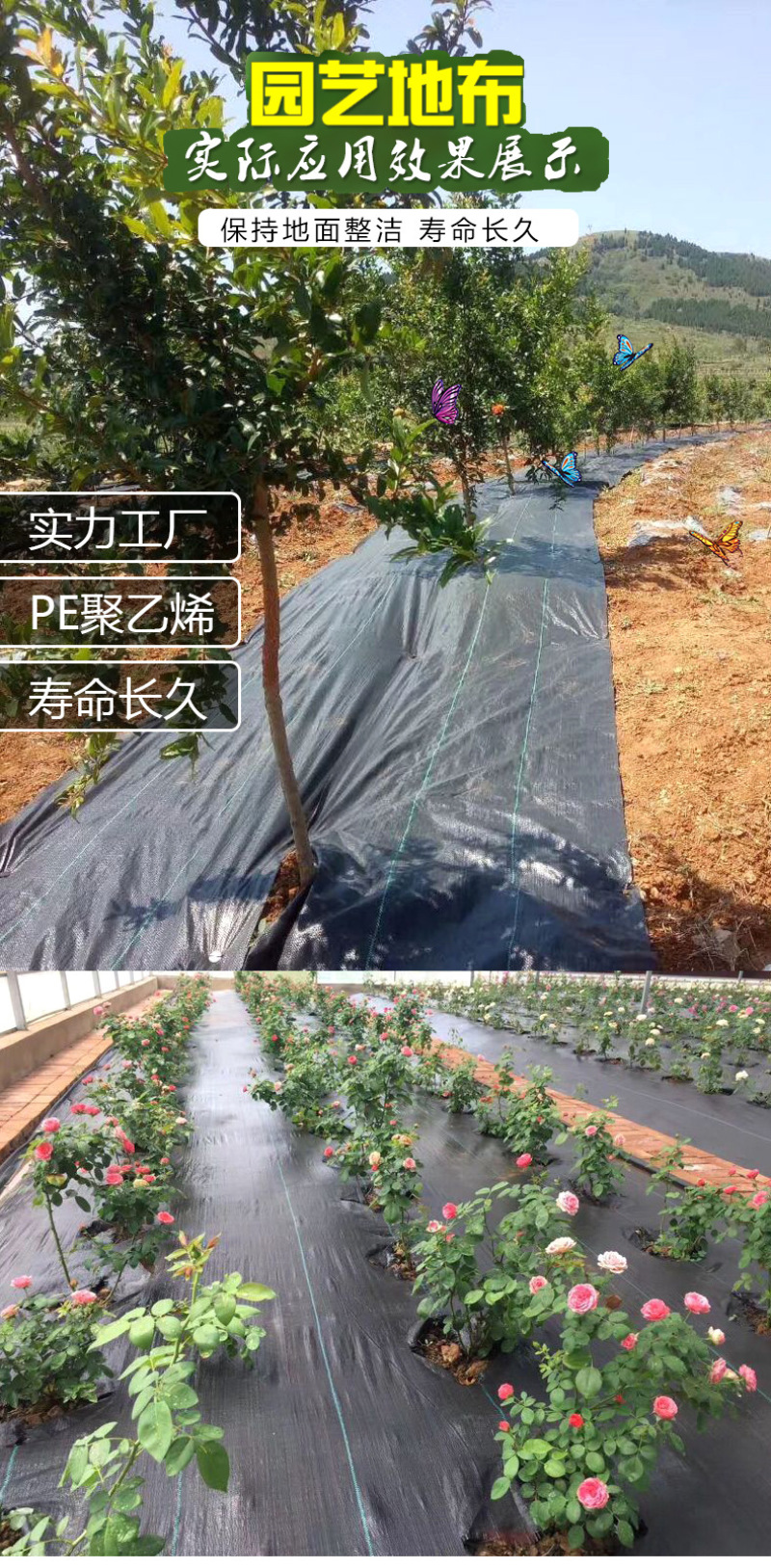 除草布pp防草布耐用盖草布农用果园果树园艺透气厂家供应