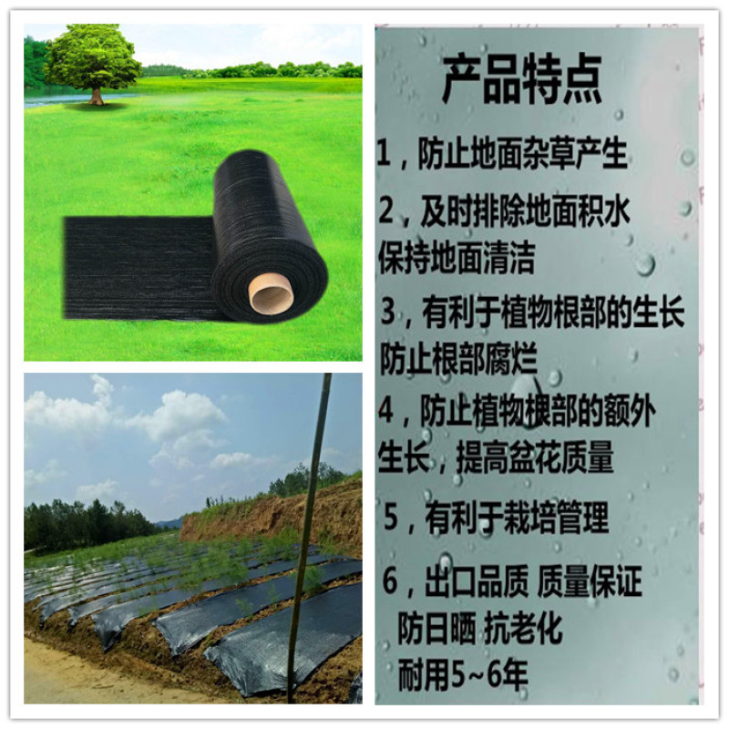防草布除草布园艺地布果园专用布盖草布黑色地膜防晒厂家供应