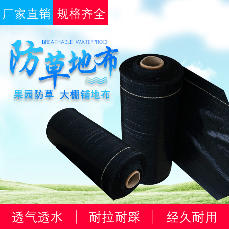 防草布除草布园艺地布果园专用布盖草布黑色地膜防晒厂家供应