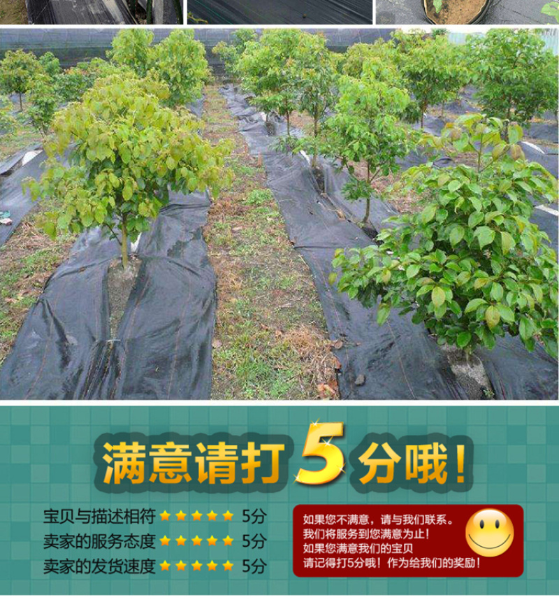 防草布除草布园艺地布果园专用布盖草布黑色地膜防晒厂家供应