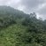 文山砚山县458亩有林地转让