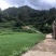 文山砚山县458亩有林地转让