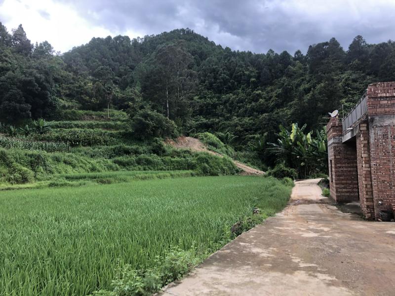 文山砚山县458亩有林地转让