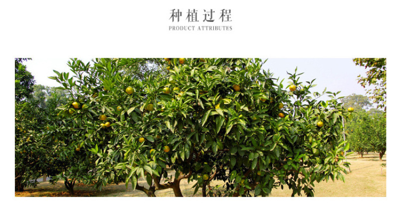 陈皮散装批发陈皮丝陈皮茶陈皮干批发