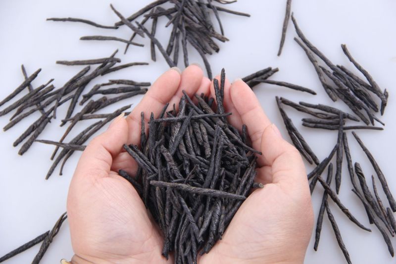 批发供应花草茶2017年新大叶苦丁苦丁茶量大从优