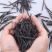 批发供应花草茶2017年新大叶苦丁苦丁茶量大从优