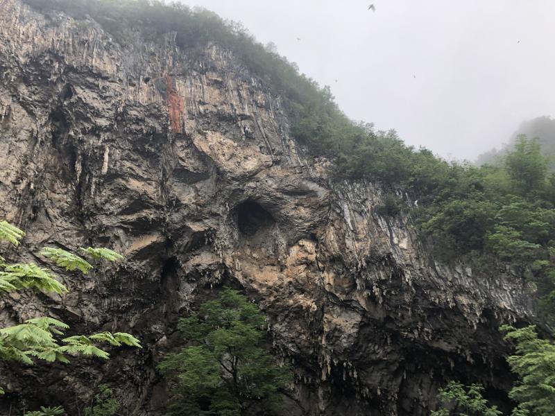 文山广南县1亩公共用地合作