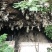 文山广南县1亩公共用地合作