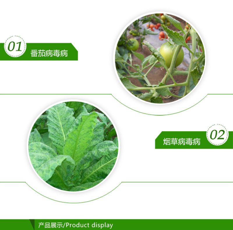 阿泰灵中保寡糖链蛋白植物番茄烟草病毒病农药杀菌剂1千克